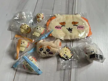 치이카와 시사 세트