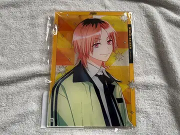 [카라소니] 도쿄 컬러 소닉 자이젠 미라이 아크릴 아트 패널 주문 상품