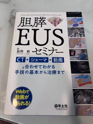 담췌 EUS 세미나 히지오카 노리