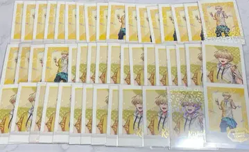 키시도 텐신 파샤코레 47장 세트