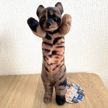 타치 Zoo 냥코푸치 2 녹 고양이 봉제 인형