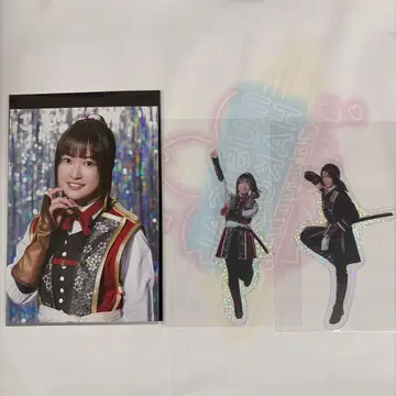 박뮤 랜덤 클리어 시트 란브로 히지카타 토시조 유키무라 치즈루