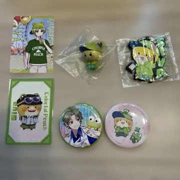 컬러풀 피치 Siva 캔뱃지 외 6개 세트