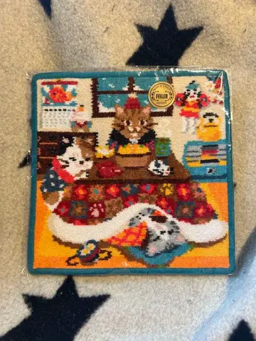 페이러 마타리 코타츠