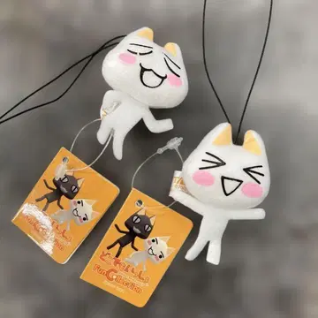 도코데모 잇쇼 Fun collection 2개