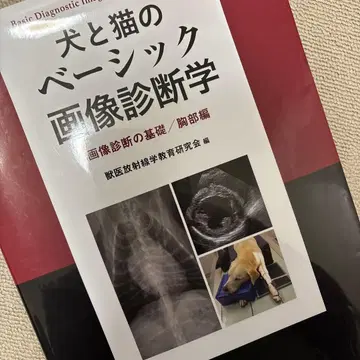 개와 고양이의 베이직 이미지 진단학
