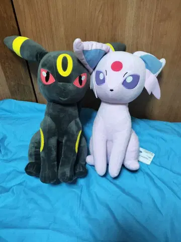 택 포함 포켓몬스터 블래키 에브이 봉제 인형 프라이스