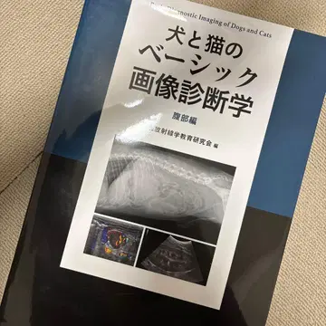 개와 고양이의 베이직 이미지 진단학