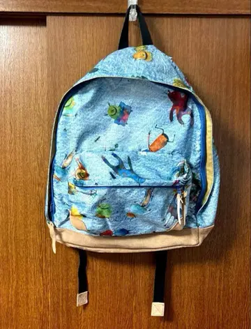 새상품급 알렉산더 리 찬 백팩