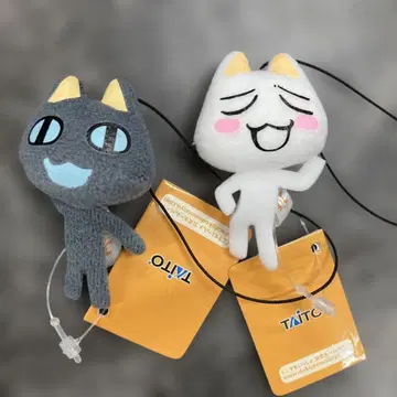 도코데모 잇쇼 Fun collection 2개