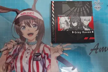 퍼니싱 그레이 레이븐 절판 핀 배지