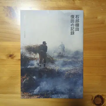 이시베 다나다 복전 기록 2013년