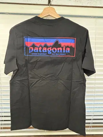 레어 일본 미발매 patagonia responsibili-Tee