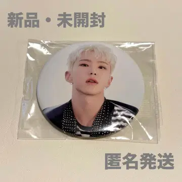 SEVENTEEN 세븐틴 호시 DREAM POPUP 팝업 캔뱃지