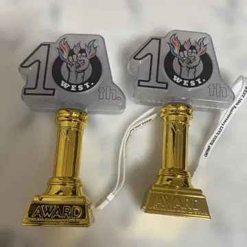 10th Anniversary Award 응원봉