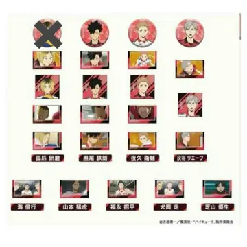 하이큐!! 캔뱃지 네코마 고교