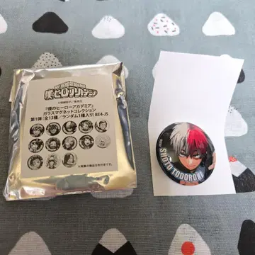 히로아카 유리 마그넷 토도로키 쇼토