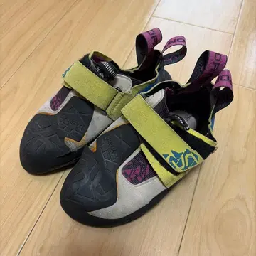 스포르티바 스쿠아마 우먼 36