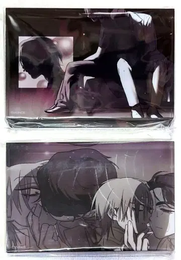 2세트 AGF 에이스테 아크릴 블록 티르&이반