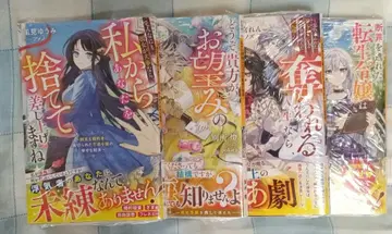 베리즈 판타지 12월 신간 4권 세트