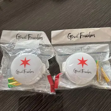 후쿠야마 마사히로 Great Freadom 라이트 뱅글 2개 세트