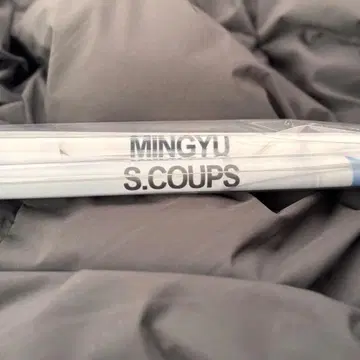 seventeen NEW_ BUNKASAI 태피스트리 에스쿱스 민규