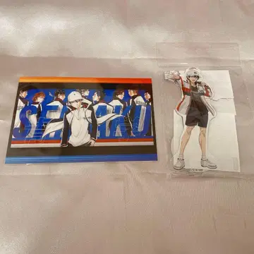 테니스의 왕자님 엽서 아크릴 스탠드 료마 일괄