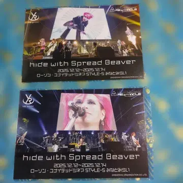 hide with Spread Beaver VR 체험 카드