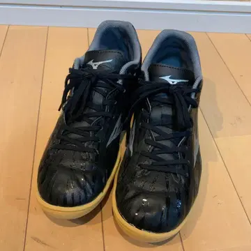 풋살화 미즈노 25cm