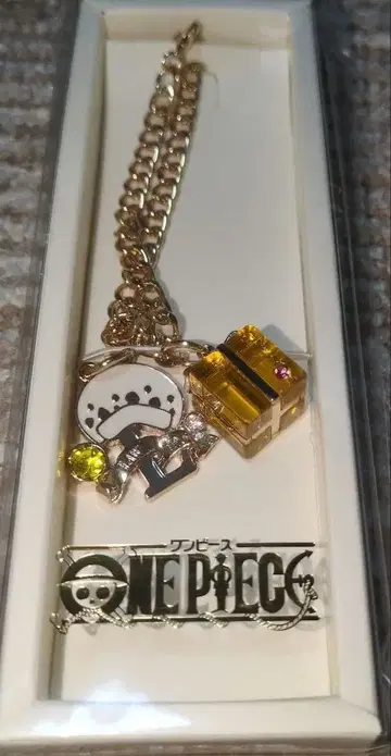 원피스 트라팔가 로 벌스데이 백참