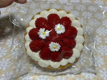 스퀴즈 쪼물쪼물