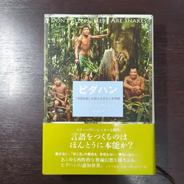 피다한 다니엘 에베레트 저