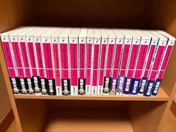 소드 아트 온라인 시리즈 라이트 노벨