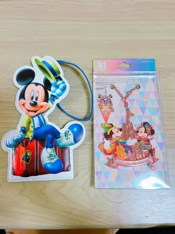 디즈니 리조트 40주년 백참 바케 파파스 케이스