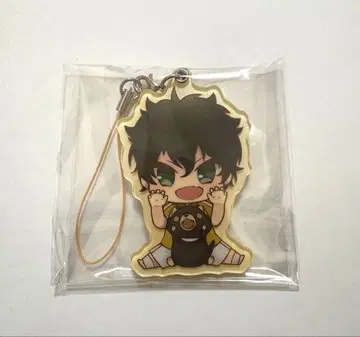 신 테니스의 왕자님 아카야 펄 아크릴 컬렉션