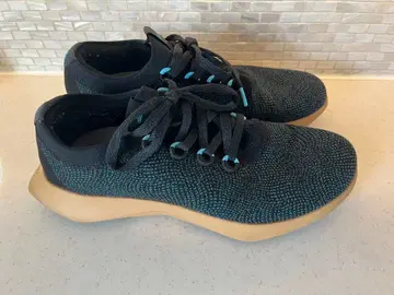 Allbirds 울 대셔 2 미즐 M12