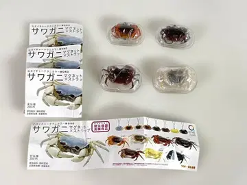 미사용 네이처 테크니컬러 MONO 사와가니 4종 세트 미니 책자 포함