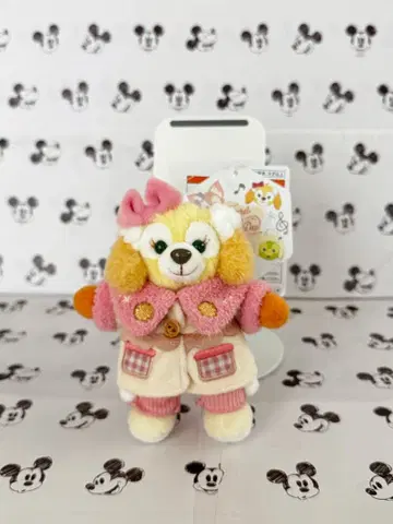 쿠키앤 인형 배지 시크릿 오브 스노위 데이 2