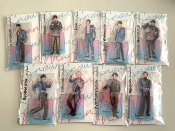 Snow Man 아크릴 스탠드 fest 9체 세트