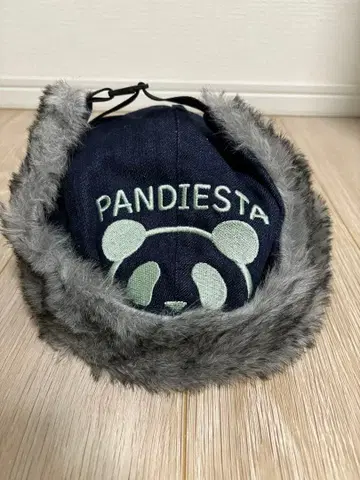 PANDIESTA의 모자