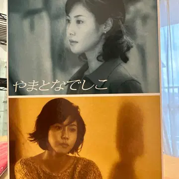 야마토나데시코 DVD BOX 전 6권 세트