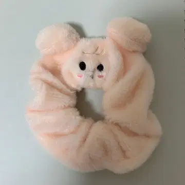 puppym 스크런치 straykids 스키즈 승민