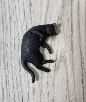 가챠가챠 네이처 테크니컬러 고양이 마그넷 검은 고양이 모리구치 오사무