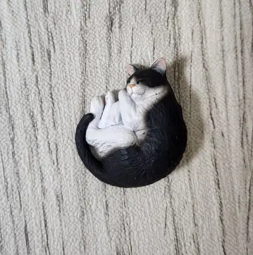 가챠가챠 네이처 테크니컬러 고양이 마그넷 하치와레 블랙 모리구치 슈