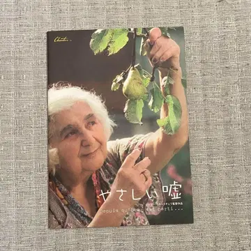 부드러운 거짓말 영화 팜플렛 프랑스 프랑스 영화 미니 극장