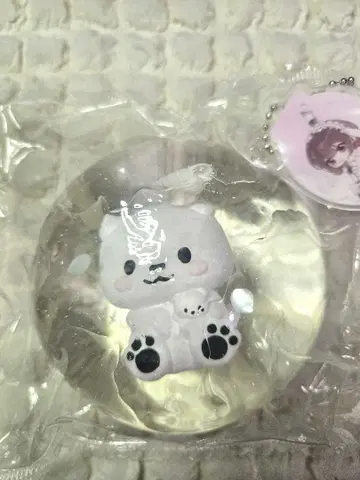 momo 스퀴즈 해양