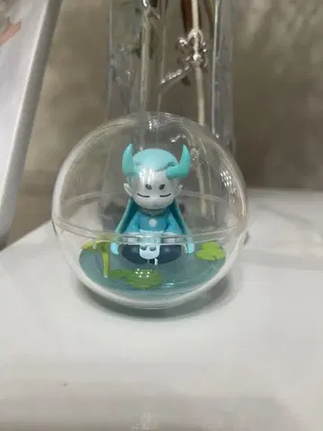 슈파이 라샤오헤이 전기 테라리움