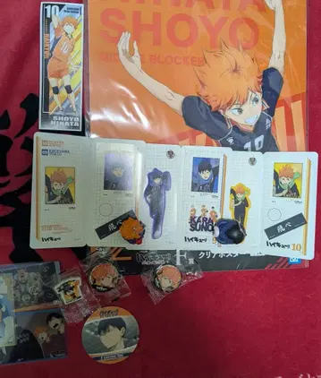 히나타 쇼요 하이큐!! 피규어와 굿즈 세트