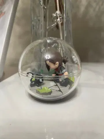 로주 라샤오헤이 전기 테라리움