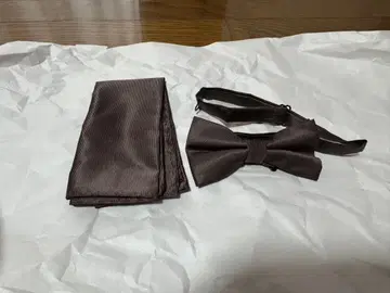 브라운 나비 넥타이 포켓 치프 세트